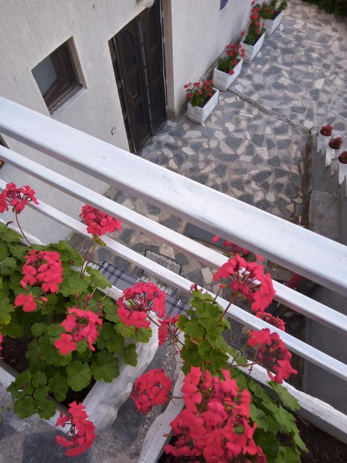 Panorama Apartment Golubac Exterior photo