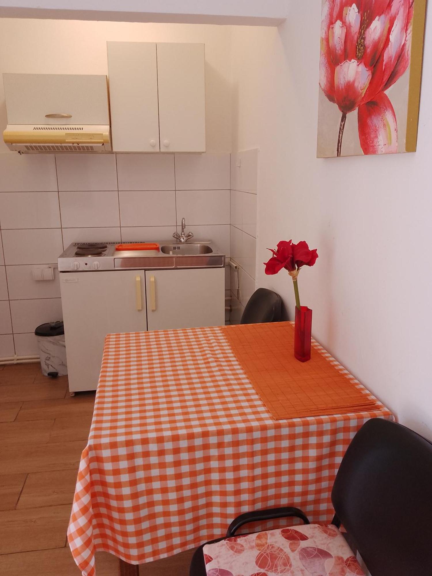 Panorama Apartment Golubac Exterior photo
